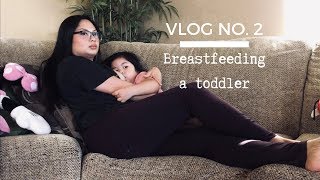 VLOG NO 2  Breastfeeding a toddler almost 3 yrs old [upl. by Africah957]