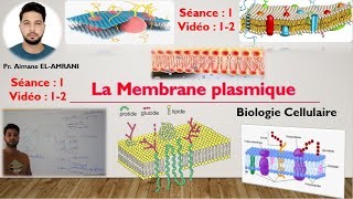 Vidéo 12  Structure et composition de la MP  les Protéines et les Glucides membranaires [upl. by Eita28]