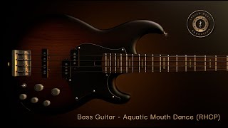 Bass Guitar  Aquatic Mouth Dance RHCP [upl. by Otsuj]