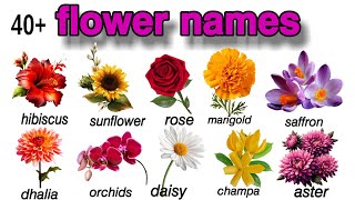 flower namesflowersflowers name with picture flower name spellings flower imeges [upl. by Aveline930]