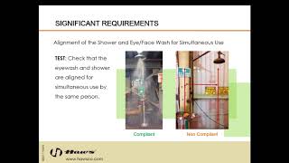 How to Conduct the ANSI Z3581 Annual Inspection [upl. by Teage300]