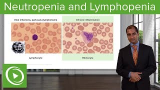 Quantitative WBC Disorders Leukocytosis amp Leukopenia – Pathology  Lecturio [upl. by Avla]