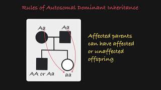 Autosomal Dominant Traits in a Pedigree [upl. by Obau]