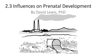 23 Influences on Prenatal Development [upl. by Aidualc]