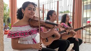 MAÑANITAS HUASTECAS TRIO HUASTECO LAS AMAPOLAS [upl. by Adnarrim120]