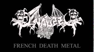 OSSUAIRE Fra Le Troubadour Necrophageophile Death metal old school France [upl. by Jezabelle107]