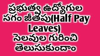 ప్రభుత్వ ఉద్యోగుల సగం జీతపు సెలవుల Half Pay Leavesగురించి తెలుసుకుందాం [upl. by Ityak]