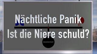 Nächtliche Panikattacken Ist die Niere schuld Nicht Albträume sondern saures pH ist die Ursache [upl. by Nnitsuj]