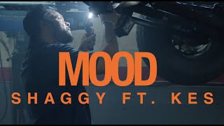 Shaggy ft Kes  Mood  Official Music Video [upl. by Akehsar]