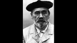 Émile Zola  Germinal Analyse [upl. by Zetram]