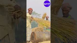 जल्द जारी होगी PM Kisan Samman Nidhi की 18वीं किस्त  PM Kisan Samman Nidhi [upl. by Eustazio791]