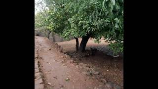 पन्हाळा किल्ला  पन्हाळगड कोल्हापूर  Panhala Fort panhalafort [upl. by Katina740]