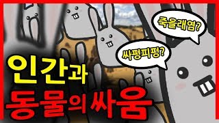 인간을 발라버린 동물들🐰 ｜빨간토마토🍅 [upl. by Millard957]