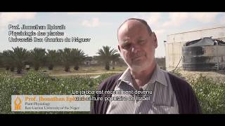 Agriculture in the Negev Todays Desert Pioneers French subtitles [upl. by Nediarb]