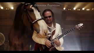 quotBudweiserquot Super Bowl Commercial with 3D Horses  We will rock you  Queen [upl. by Dwayne]