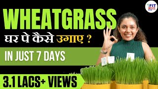 How to Grow Wheatgrass in 7 Days  Detox Your Body  A Complete Guide by Shivangi Desai [upl. by Asenad]