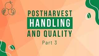 Causes of Post Harvest Losses [upl. by Teiv]