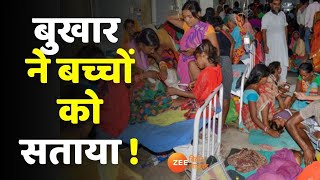 Viral Fever News वायरल फीवर ने बच्चों को सतायाअस्पतालों में बेड फुल [upl. by Htiekram296]