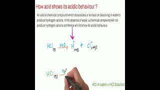 Acids Bases and Salts Class 10 CBSE Science  How acid shows its acidic behavior [upl. by Solorac299]