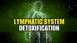 Lymphatic System Detoxification  Boost Immune System Fast  Heal Your Body From Illness Disease [upl. by Ahdar]