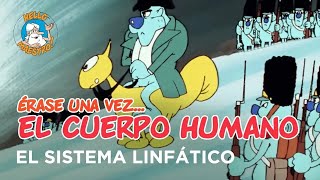 Erase Una Vez El Cuerpo Humano  El sistema linfático [upl. by Katy101]