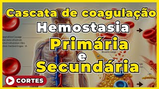 Cascatas de coagulação  Hemostasia Primária e Secundária Atualizado 2024 [upl. by Oznofla]