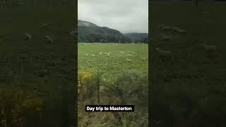 Views on Wairarapa line train from Wellington to Masterton [upl. by Nahguav]