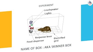 Skinners Operant Conditioning Theory Full Video [upl. by Churchill]