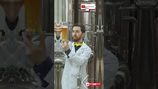 The Secrets of Craft Beer Brewing Process Unveiled viralvideo viralshorts food [upl. by Filia]