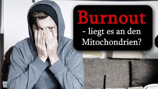 Burnout und Mitochondrien Teil 1  Dr med Dirk Wiechert [upl. by Akkina]