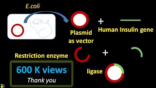 Steps in Recombinant DNA Technology or rDNA technology  Biotechnology [upl. by Naitsirc]