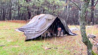 Caught in Rainstorm With My Dog • 2 Days Rain Camping in the Forest  Camping in Heavy Rain [upl. by Humphrey]