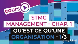 Chapitre 1  Quest ce quune organisation 13  Management Bac STMG  digiSchool [upl. by Redmer]