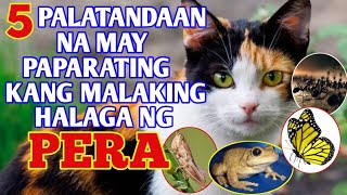 5 PALATANDAAN NA MAY PAPARATING KANG MALAKING HALAGA NG PERA [upl. by Ahsieit]