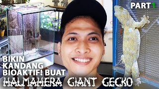 Bikin Kandang Bioaktif buat Si cicak Raksaksa Halmahera Giant Gecko Part 1 [upl. by Ahsinek]