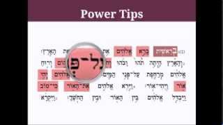 How to ReadChant Torah Study Tips [upl. by Yvel]