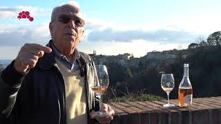 Grape INSIDERS origins of Morellino di Scansano with Erik Banti [upl. by Asil]