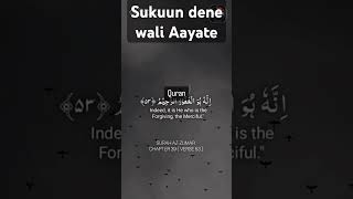 sukuun Dene wali aayate Alaa bizikrillahi tatmayiinul Quloob🕯️Dilo ki chain Allah ki yaad me hai [upl. by Nej334]