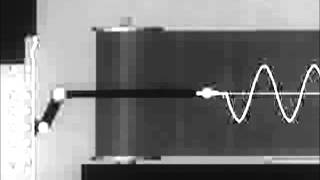 Oscillograph Displaying Sine Wave [upl. by Power]