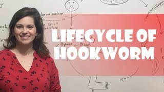 Lifecycle of Hookworm [upl. by Namaan]