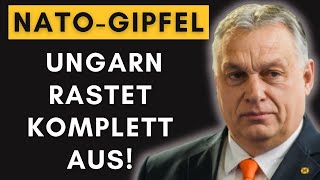 Ungarischer Wutausbruch NATOGipfel endet mit heftigem Eklat [upl. by Ninon279]