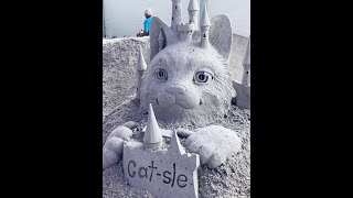 Pier 60 Sugar Sand Festival in Clearwater Beach  Amazing Sand Sculptures and Much More  Video [upl. by Cordier952]