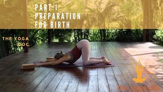 EASE 15 minute Pregnancy Yoga  Part 1  Preparation For Birth  The Yoga Doc [upl. by Adnoraj496]