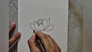 how to draw water lilies lotus drawing lilies drawing Rima dey [upl. by Eseyt]