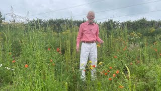 Weld with John Feehan Wildfowers of Offaly series [upl. by Melan]