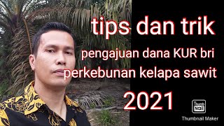 tips dan trik pengajuan dana KUR BRI 2021 dengan usaha perkebunan kelapa sawit bisnismikro2143 [upl. by Barbara]