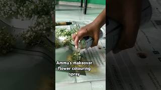 Baby breath flower colouring spray Ammus makeover messi hairstyle ammus beauty care shorts [upl. by Candide]