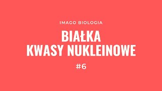 Białka i kwasy nukleinowe [upl. by Callas]