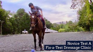 USEF Novice Dressage Test A  Judges Commentary  Analysis  Charlie 10052022 [upl. by Munroe651]