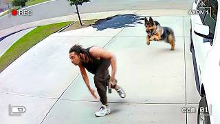 Dont Ever Run From a Police Dog [upl. by Fagen]